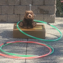 Ring a Bear - Hula Hoop Toss game