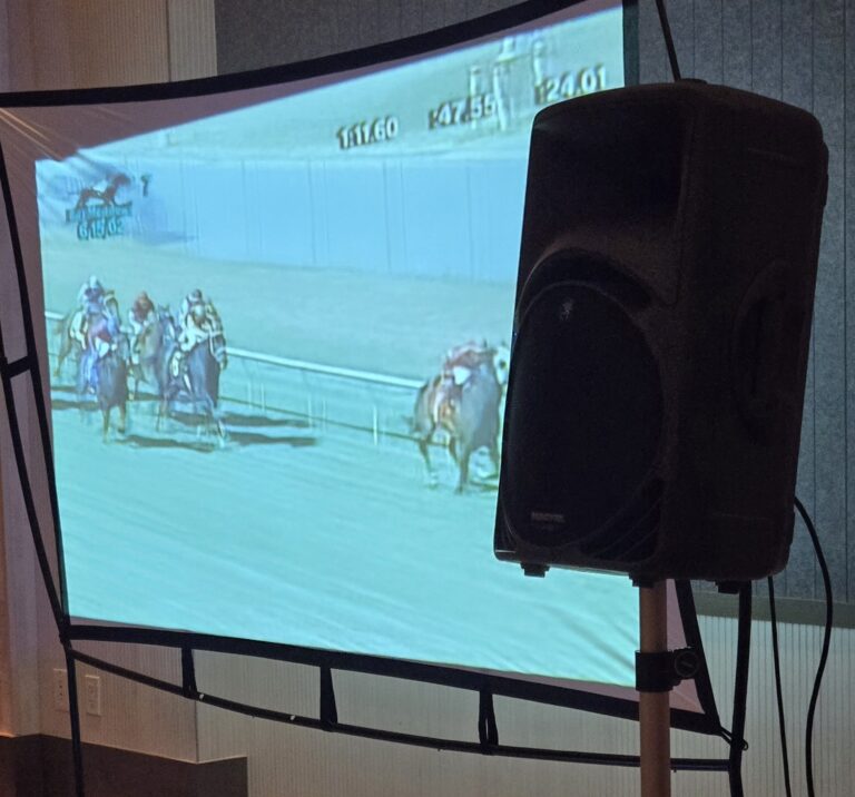 Night at the Derby Horse Racing Party rental